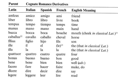 latin words that are similar to english